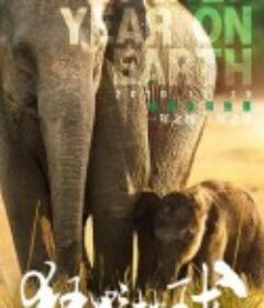 狂野地球 A Wild Year on Earth            (2020)