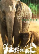 狂野地球 A Wild Year on Earth            (2020)