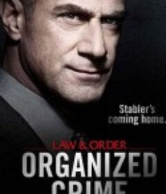 法律与秩序：组织犯罪 第一季 Law &amp; Order: Organized Crime Season 1            (2021)