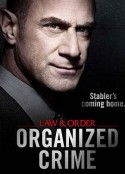 法律与秩序：组织犯罪 第一季 Law &amp; Order: Organized Crime Season 1            (2021)