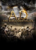公元：后圣经故事 第一季 A.D. The Bible Continues Season 1            (2015)