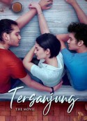 夜半惊心 Tersanjung: The Movie            (2021)