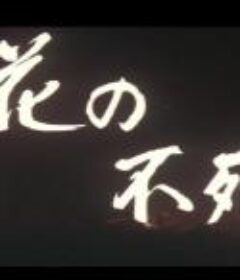 花之不死鸟 花の不死鳥            (1970)