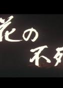 花之不死鸟 花の不死鳥            (1970)