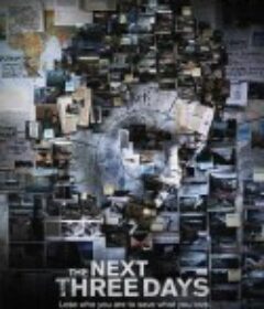 危情三日 The Next Three Days            (2010)