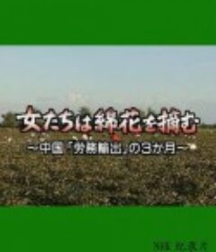 采棉女：中国劳务输出的三个月 女たちは綿花を摘む 〜中国「労務輸出」の3カ月〜            (2004)