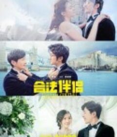 合法伴侣            (2019)