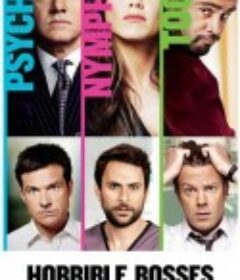 恶老板 Horrible Bosses            (2011)