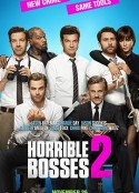 恶老板2 Horrible Bosses 2            (2014)