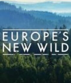 欧洲新狂野 Europe's New Wild （2021）