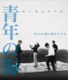 青年之海 四名函授大学生 青年の海 四人の通信教育生たち            (1966)