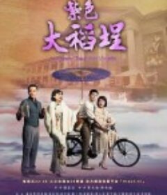 紫色大稻埕            (2016)