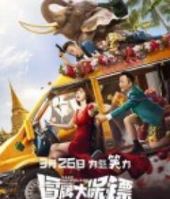 冒牌大保镖            (2021)