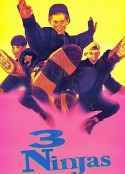 忍者小英雄 3 Ninjas            (1992)