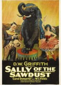 被遗弃的萨莉 Sally of the Sawdust            (1925)