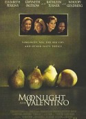 月光情圣 Moonlight and Valentino            (1995)