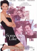 似曾相识 Someone Like You...            (2001)