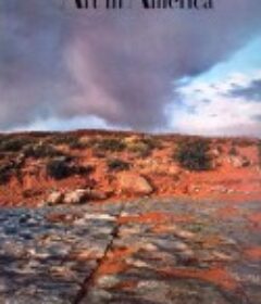 美国艺术 Art of America            (2011)