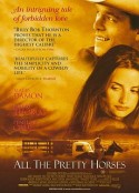 骏马 All the Pretty Horses            (2000)