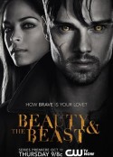 侠胆雄狮 第一季 Beauty and the Beast Season 1            (2012)