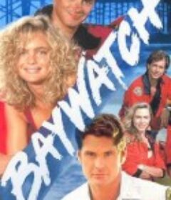 海滩救护队 第一季 Baywatch Season 1            (1989)