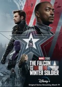 猎鹰与冬兵 Falcon & Winter Soldier (2021)