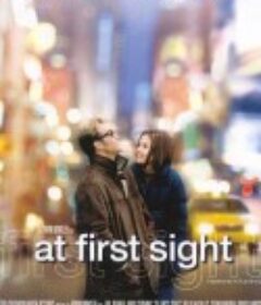 一见钟情 At First Sight            (1999)
