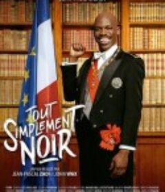 乘风破浪的黑哥哥 Tout Simplement Noir            (2020)
