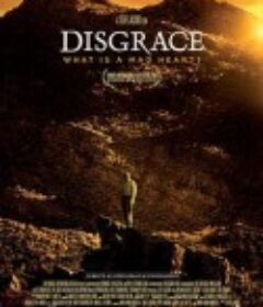 耻 Disgrace            (2008)