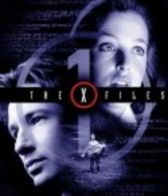 X档案 第一季 The X-Files Season 1            (1993)