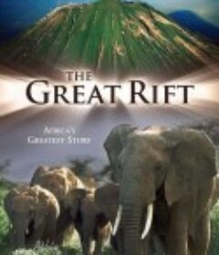 大裂谷：美丽的非洲心脏 The Great Rift: Africa's Wild Heart            (2010)