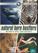 天生骗徒 Natural Born Hustlers            (2016)