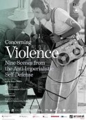 暴力相关 Concerning Violence            (2014)
