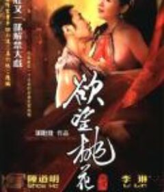 桃花满天红 (1995)