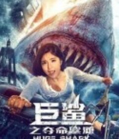 巨鲨之夺命鲨滩            (2021)