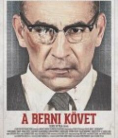 驻伯尔尼大使 A berni követ            (2014)