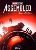 漫威影业：集结 Marvel Studios: Assembled            (2021)