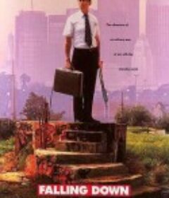 城市英雄 Falling Down            (1993)