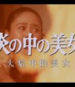 明智小五郎美女系列23：火焰中的美女 江户川乱步的恐怖三角馆 炎の中の美女 江戸川乱歩の「三角館の恐怖」            (1984)
