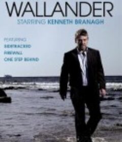 维兰德 四季全 Wallander Season 1            (2008)
