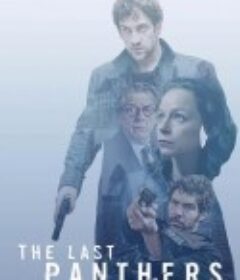 最后的粉红豹 The Last Panthers            (2015)