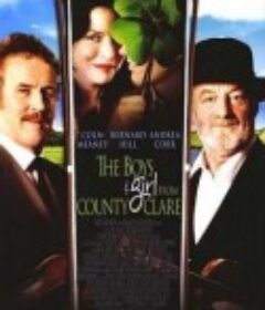 欢唱爱尔兰 The Boys & Girl from County Clare            (2003)