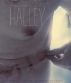 哈雷 Halley            (2012)