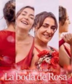 罗莎的婚礼 La boda de Rosa            (2020)