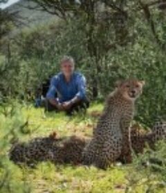 猎豹家族和我 第一季 Cheetah Family &amp; Me Season 1            (2021)