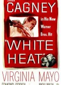 歼匪喋血战 White Heat            (1949)