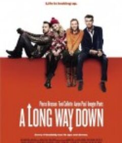 自杀四人组 A Long Way Down            (2014)