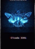 暗网：蝉3301 Dark Web: Cicada 3301            (2020)