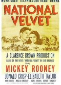 玉女神驹 National Velvet            (1944)