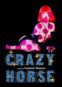疯马歌舞秀 Crazy Horse            (2011)